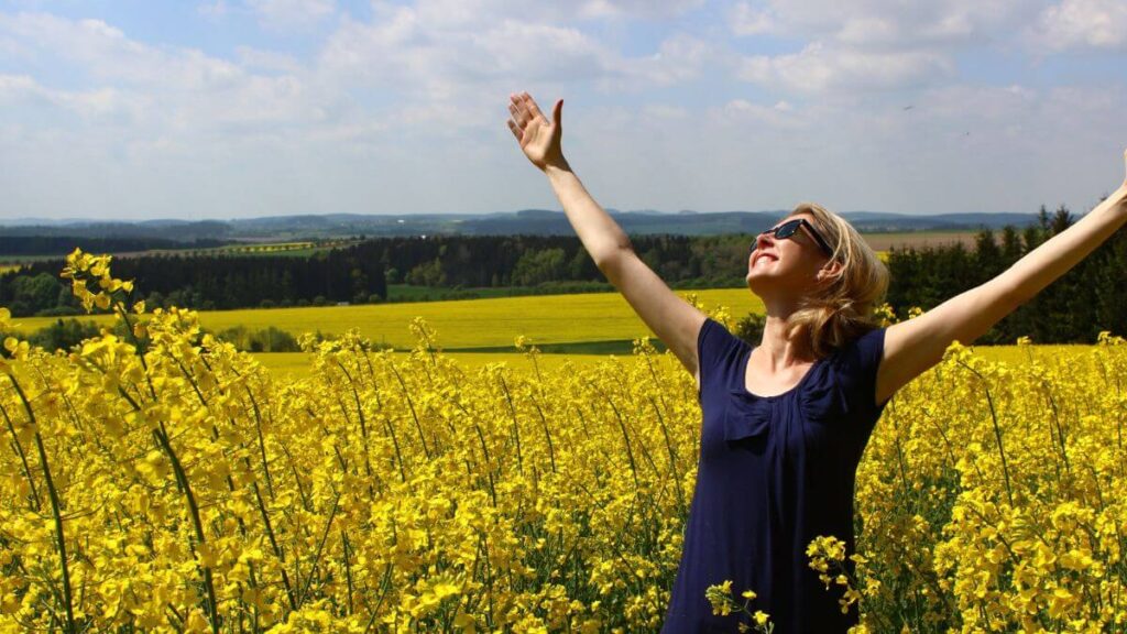 gratidao e abundancia