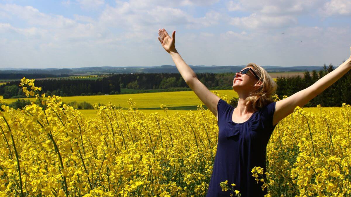 gratidao e abundancia